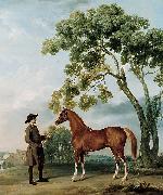 George Stubbs Lord Grosvenor's Arabian Stallion with a Groom oil on canvas